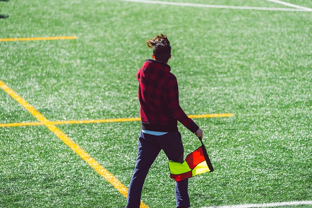 霸占羽毛球 霸占羽毛球