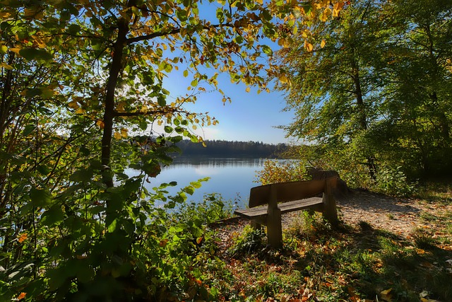 营养全面的 营养全面的