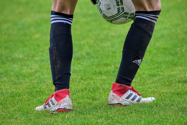 不仅打击了 不仅打击了