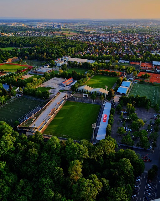 这些案例显 这些案例显