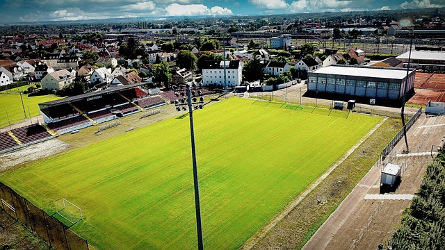 与美国前总 与美国前总