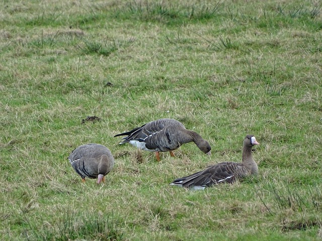 上的深厚功 上的深厚功