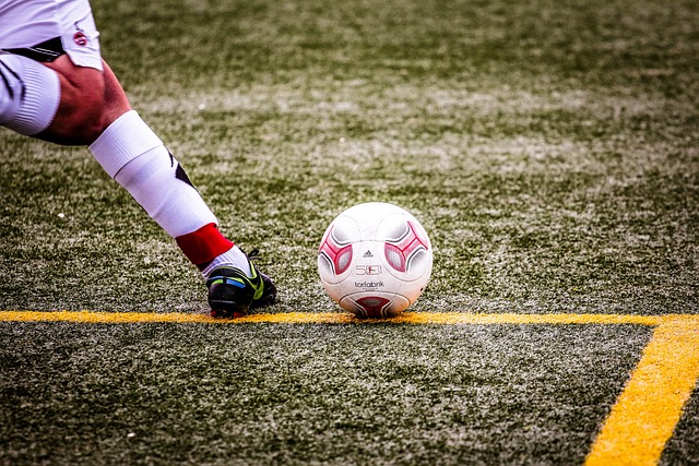 了新的活力 了新的活力